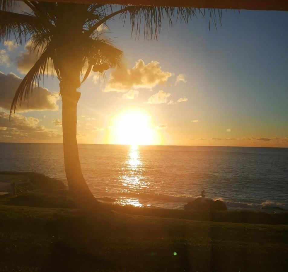 Coco Reef Bermuda Mount Pleasant