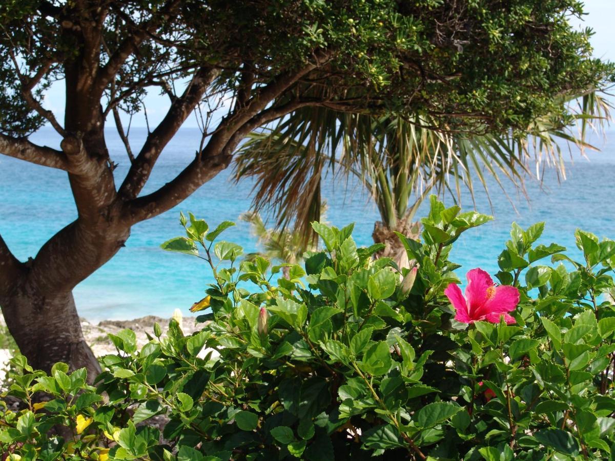 Coco Reef Bermuda Hotel