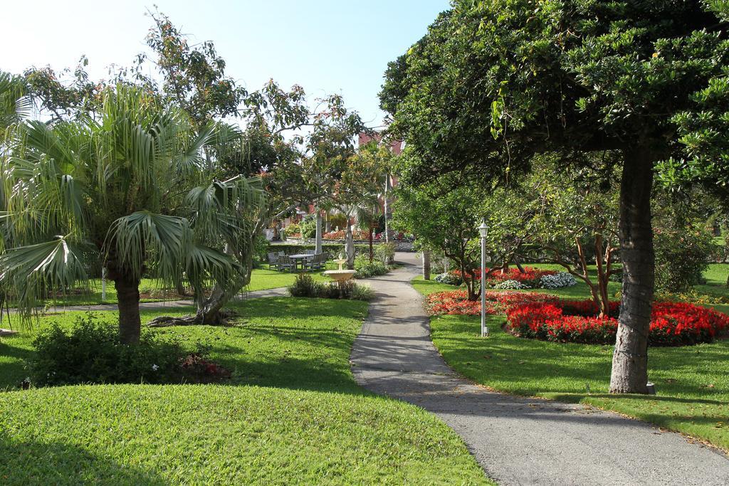 Hotel Royal Palms