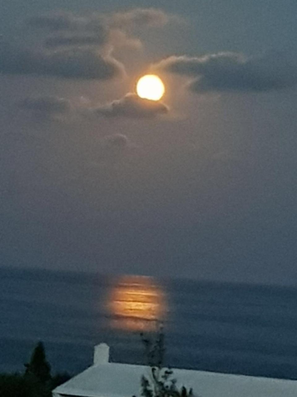 Apartment Sunset Paradise Oceanview 1-bedroom Walking Distance To Beaches & Railway Trail Hamilton City