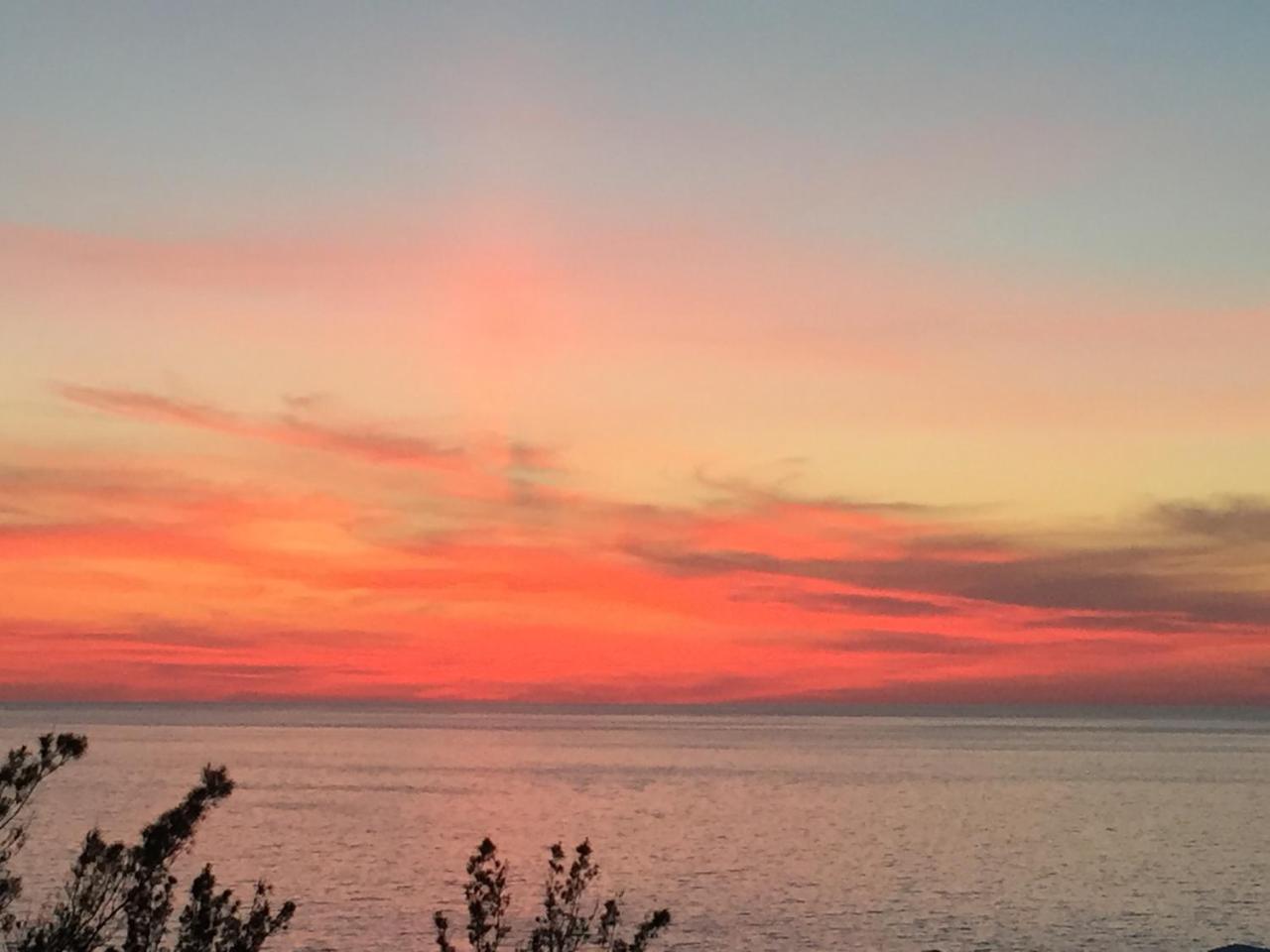 Sunset Paradise Oceanview 1-bedroom Walking Distance To Beaches & Railway Trail